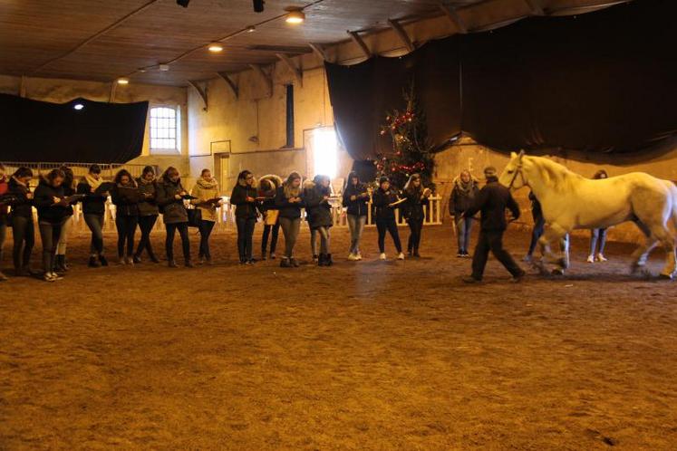 " Comme chaque année, nous participons à l'organisation de la finale départementale. C'est un très bon exercice pour les élèves. 6 chevaux sont jugés (2 témoins). Nous avons créé la grille d'évaluation référente avant. En général, soit vous êtes meilleur sur les chevaux de trait, soit sur ceux de sang "