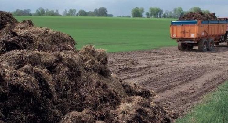 Proscrire l’accès des bovins au tas de fumier dans les prairies.