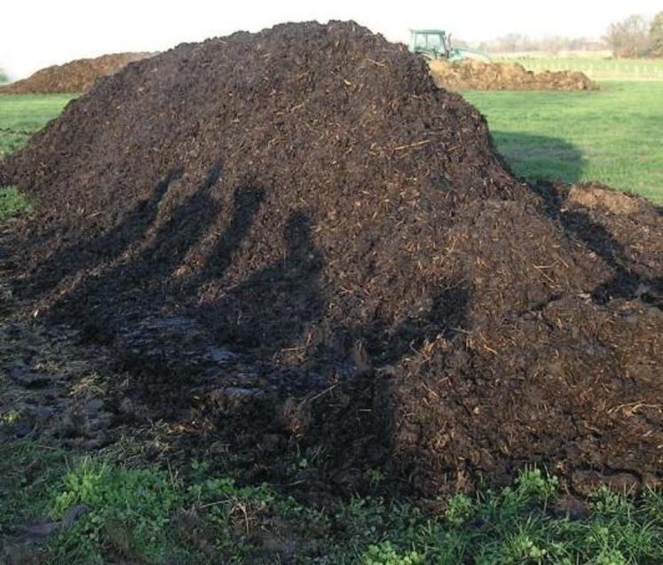 Le compost doit avoir une odeur d'humus, de couleur brune 
homogène et s'émiette bien.