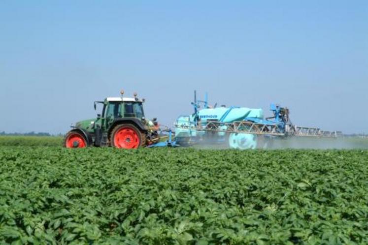 Pour limiter le développement de la maladie et les risques de transfert de matières actives phytosanitaires vers les tubercules et les eaux, on veillera à limiter le nombre de traitements anti-mildiou effectués sur les cultures en combinant à la lutte chimique raisonnée des mesures prophylactiques et des méthodes culturales de contrôle de la mala-die.