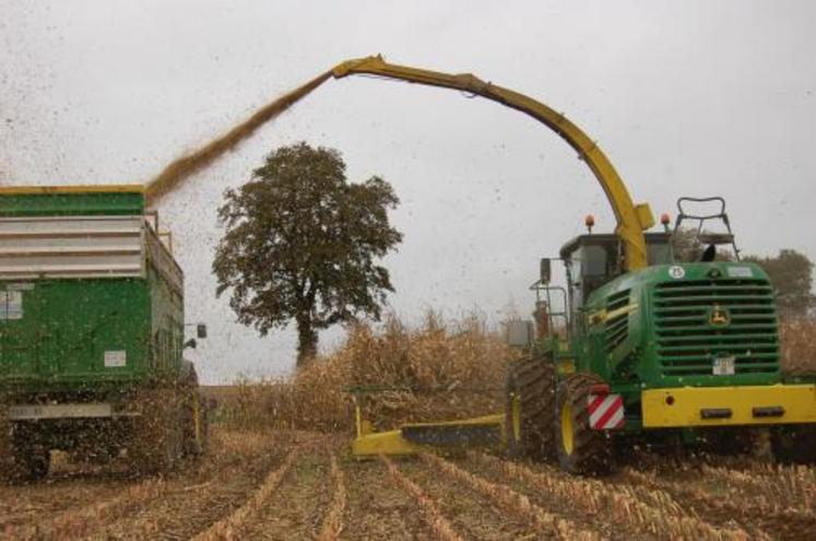 Le boîtier Harvestlab mesure en instantané le taux de matière sèche du maïs. Ce système est connecté à l’autoloc qui ajuste automatiquement la longueur de coupe.