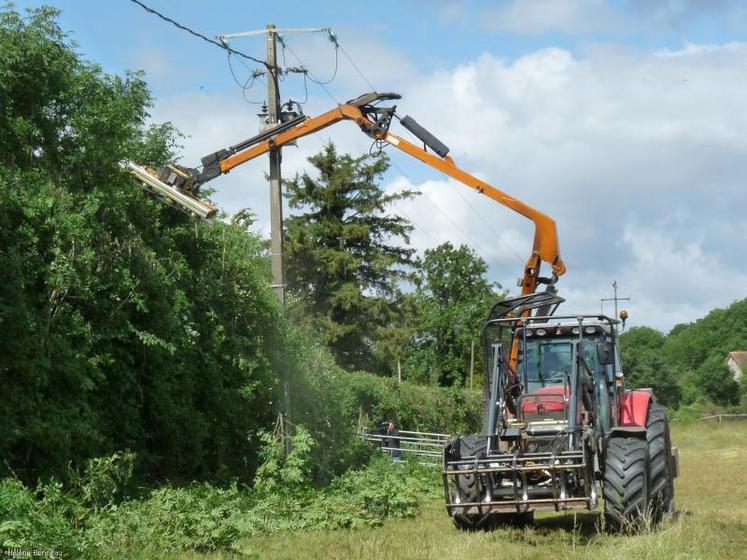 Les déchets verts 
sont regroupés par ERDF 
sur le terrain du propriétaire. 
Ce dernier prendra à sa charge leur évacuation. Le même 
système est appliqué pour l’élagage des arbres. Le bois est alors récupéré par le propriétaire. (DR)