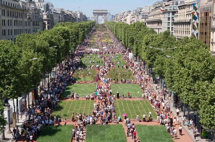 Les allées ont rapidement été prises d’assaut. Pour découvrir “Nature Capitale” 
paisiblement, il fallait se lever tôt.