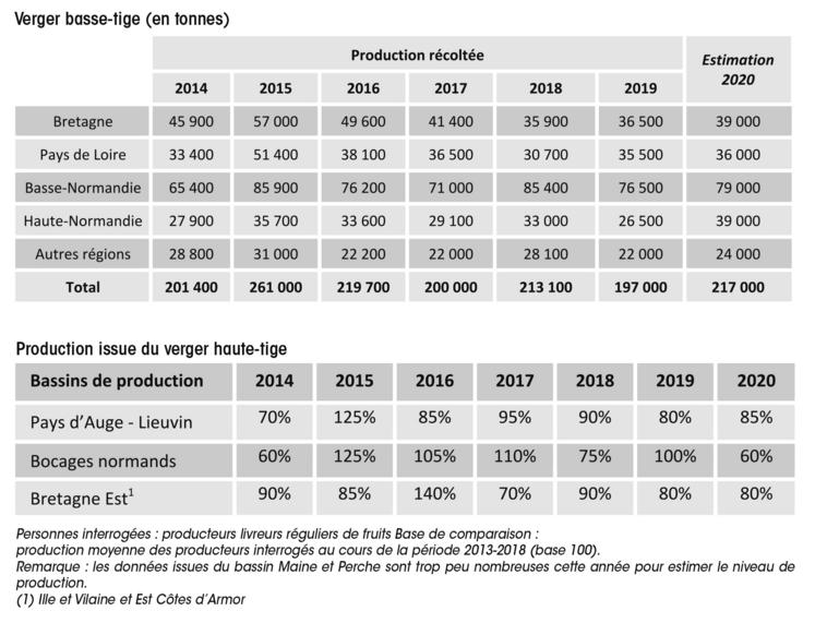 RECOLTE FRUITS A CIDRE 2020