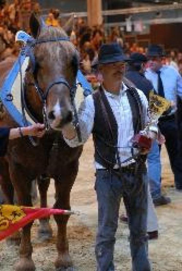 Odun de la Vallière champion "cheval de trait"