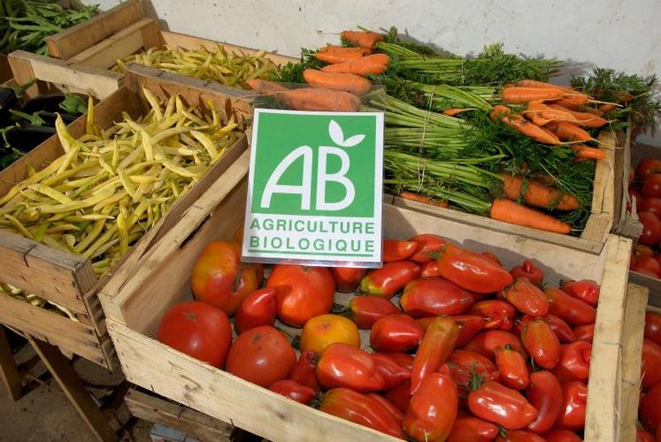 “Nous aurons un rôle de tuteur lors de l’installation des jeunes maraîchers. Les exploitations ne seront pas forcément Bio. Car pour une jeune, il est difficille de cumuler  installation et agrément bio”, explique la président de l’Adear.