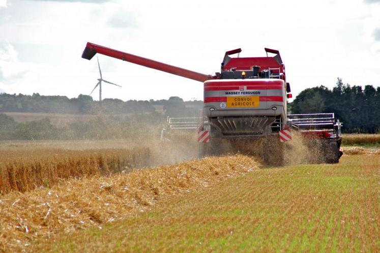 Lundi 30 juillet, les agriculteurs battaient l’avoine porte-graine
sous contrat avec Agrial.