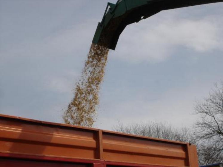 Les copeaux récoltés seront stockés six mois sur une plate forme. 
Ils seront ensuite utilisés dans des chaudières à bois complètement autonomes. Ces dernières sont alimentées par un silo situé à proximité 
via une vis sans fin.