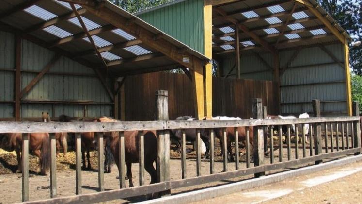 Les activités équestres sont l’élevage de chevaux Islandais, la randonnée, l’accueil de groupes, les cours et les balades.