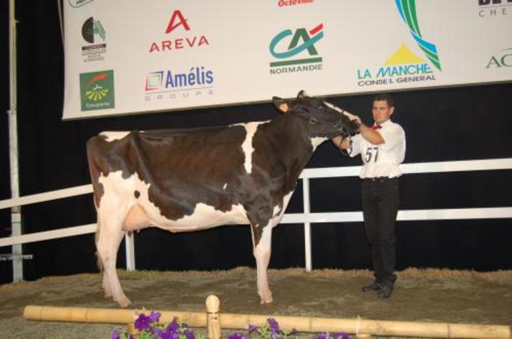 "La bruyère unica", vache ornaise (earl Rosier) s'impose dans la section 1C.