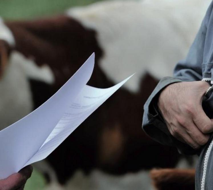 Contrats laitiers - Organisations de producteurs : trois ou quatre documents à signer.