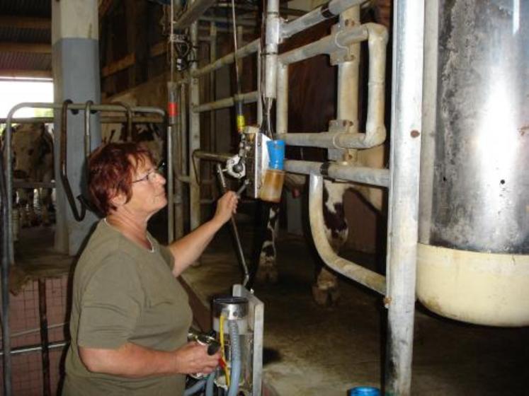 Trente éleveurs ont acquis les trente vaches et la vingtaine de génisses 
de haute valeur génétique.