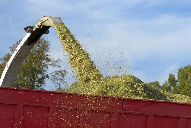 D’une année à une autre, les ensilages de maïs ne se ressemblent pas. La prise en compte de l’analyse du maïs combinée à l’observation des animaux (ingestion, lait, taux et état des bouses) permet de caler au mieux la ration de vos animaux. Pour disposer d’un résultat fiable, et donc une ration calée rapidement, le prélèvement de l’échantillon doit être de qualité.