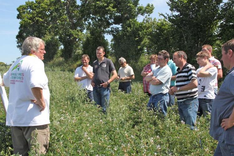 “Si vous sortez votre calculette, vous ne pourrez pas ne pas faire de lupin l’an prochain, plaisante  Gérard Bavière (à gauche sur la photo). Avec ses qualités nutritionnelles le lupin est aussi un aliment “chasse-véto”