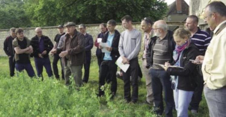 Cette année le groupe “agriculture de conservation” de la Manche est allé à la découverte des systèmes en semis direct sur couverture végétale chez Hubert Charpentier, dans l’Indre.