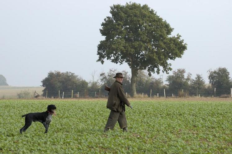 Ouverture de la chasse en Normandie : les chasseurs du Calvados