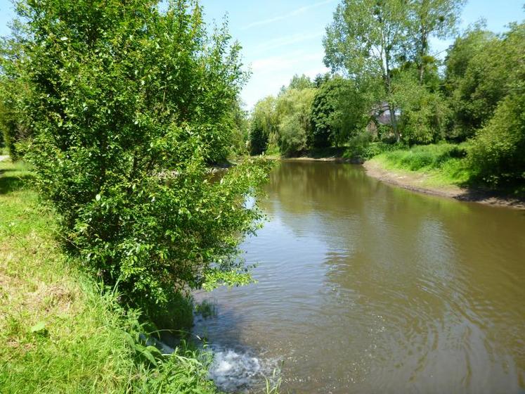 Pour rappel, le SAGE de la Vire compte 2 000 km de rivières ou chevelus dont 128 km pour la Vire, couvre 1 281 km2, 85 communes dont 22 dans le Calvados et 63 dans la Manche, 6 000 ha de zones humides dont 2 500 ha de marais. DR