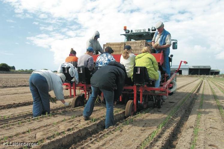 “La campagne salade cet été a été catastrophique. Le marché du poireau et d'autres légumes se dégrade depuis 15 jours. Les cours sont bien en dessous des coûts de production”, a souligné Alain Cottebrune