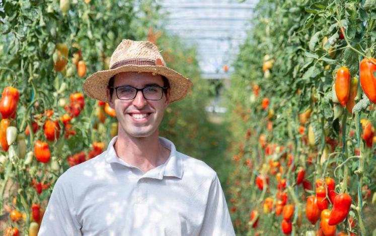 Pour Guillaume Haelewy, les techniques de maraîchage en non travail du sol ont pour intérêt majeur de limiter le désherbage des planches de cultures. L’objectif est donc de faire du zéro désherbage en plein champs et sous serre.