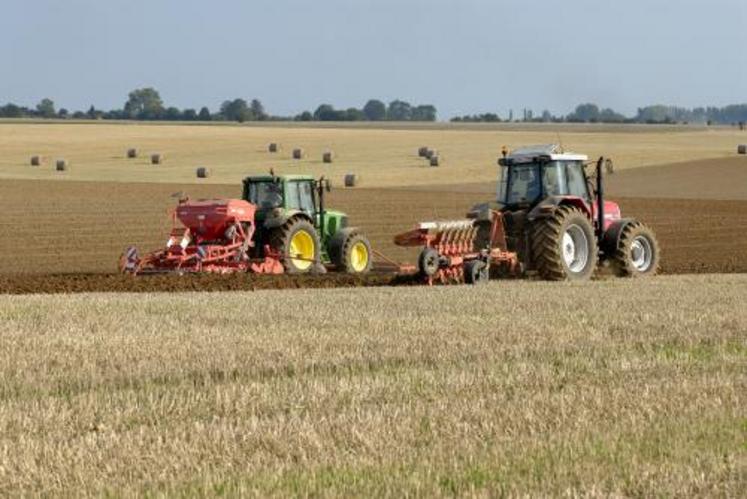 Le choix des espèces à implanter est un point clé qui va décider des stratégies d’implantation, de destruction mais aussi des différents effets agronomiques attendus. A côté des espèces  « classiques » que sont la moutarde, l’avoine et la phacélie se développent de nombreuses autres espèces à utiliser seules ou en mélange.