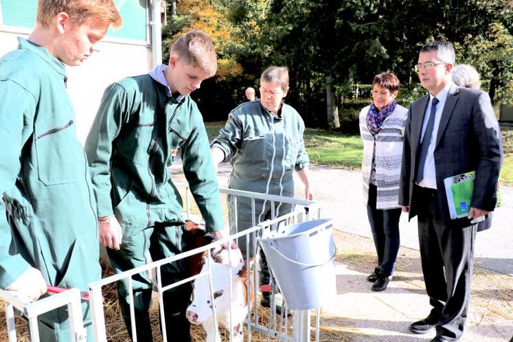 Bertrand Deniaud (à droite) au côté de Claudine Leguen. Lors de leur visite de l’exploitation agricole, une classe de 2de professionnelle apprenait à boucler les veaux. DR