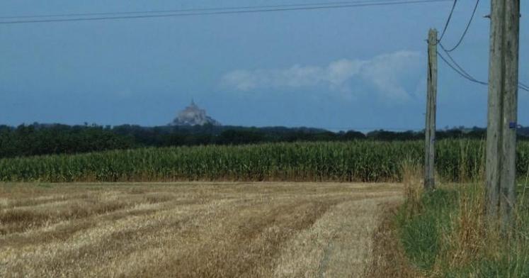 De l’élevage, des cultures…et le Mont Saint-Michel.