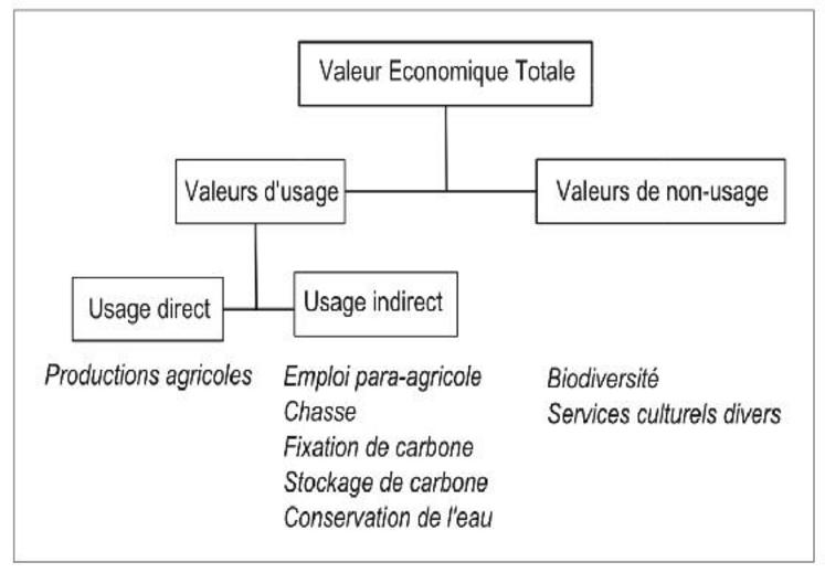 La valeur économique totale prends en compte 3 types de valeurs d’un hectare normand lié à l’usage direct.