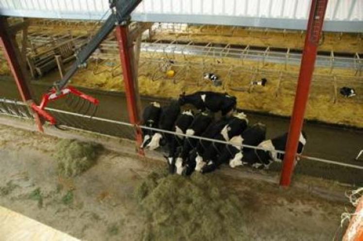 De l’enrubannage en balles rondes au séchage du foin en grange.
“Ce que nous attendons du service, c’est qu’il nous appuie sur tout : conduite d’élevage, alimentation, reproduction mais aussi le suivi des prairies et le cahier d’épandage (...)”, insistent Christophe et Arnaud Grière. Il faut privilégier un suivi global de l’exploitation”.