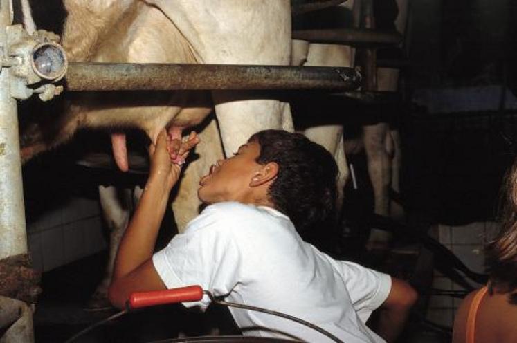 En pratique, pour produire du lait de bonne qualité organoleptique et nutritionnelle il faut privilégier l’herbe pâturée.