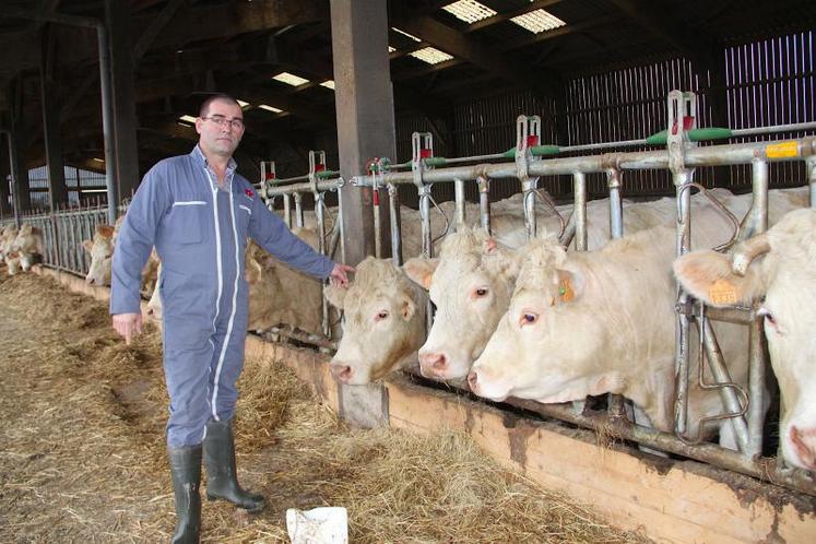 Si la justice suit le réquisitoire, c’est l’équivalent de 400 vaches allaitantes qu’il faudra vendre pour payer la sentence. Selon sa quote-part, « je vends mon troupeau », lâche Sébastien Debieu. Et après ?  DR