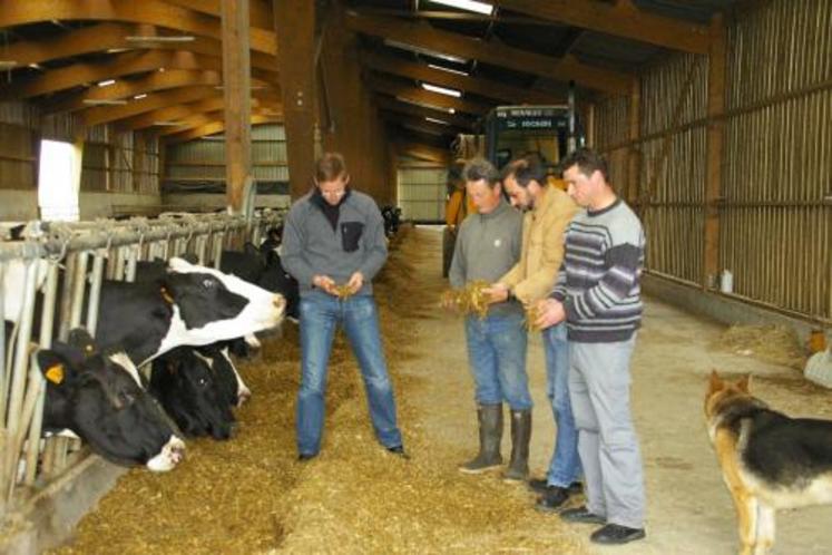 Un brin raide, pas trop sec et inférieur à 5 mm pour que la vache ne le démélange pas. C’est l’objectif recherché au GAEC de La Corbinière au Mesnil-Scelleur (61).