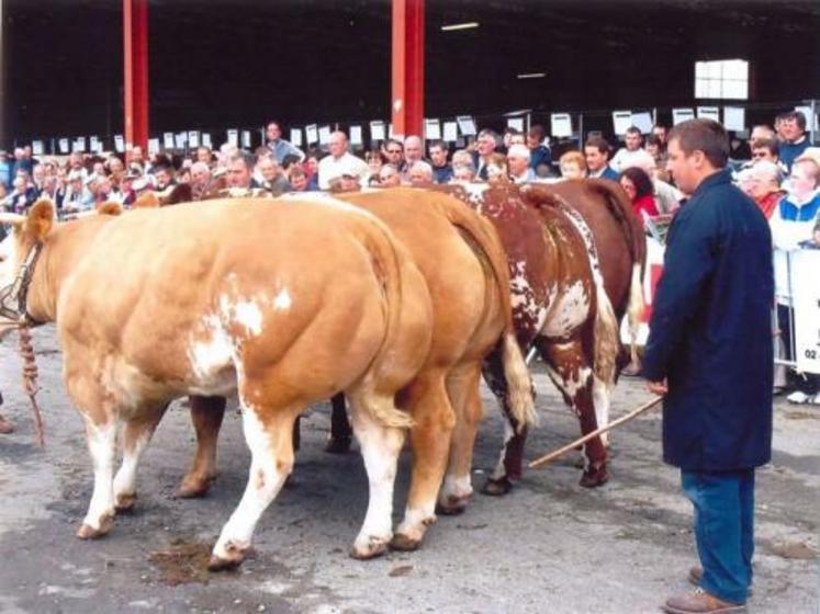 Une ambition pour la manifestation de Torigni sur Vire, devenir l’égal du fameux concours d’Evron (Mayenne).