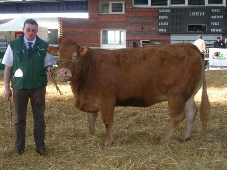 Olivier Auvray du Gaec de l'Allière a remporté de nombreux prix
dont le Prix d'honneur femelle et le Meilleur animal du concours.