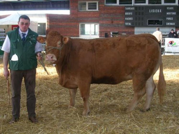 Olivier Auvray du Gaec de l'Allière a remporté de nombreux prix 
dont le Prix d'honneur femelle et le Meilleur animal du concours.