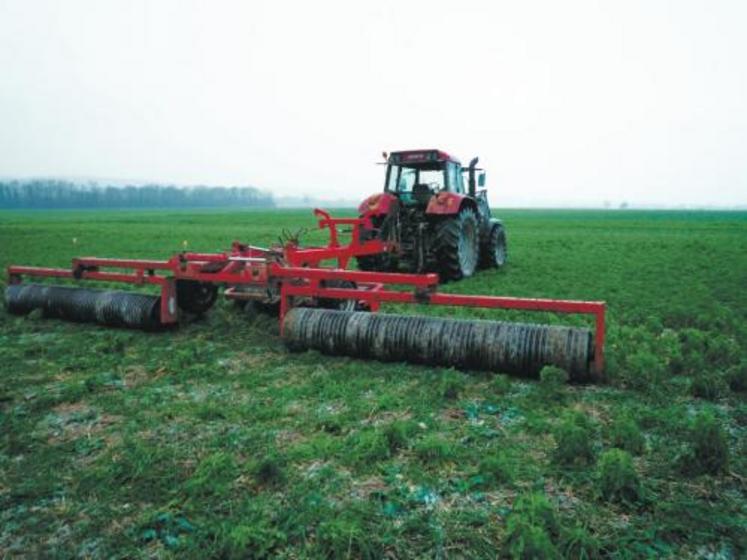 Sur les parcelles de Bruno Soënen (Ouilly-le-Tesson) et grâce aux prêts de matériels de plusieurs agriculteurs (MM. Sébire, Hoflack et Heurtin), différentes techniques de destructions mécaniques des couverts ont été testées. Rendez-vous mardi à partir de 14 h pour en connaître tous les résultats. 