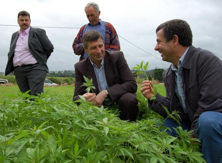 Autour du chanvre, agriculteurs et industriels se réunissent pour le développement économique local.