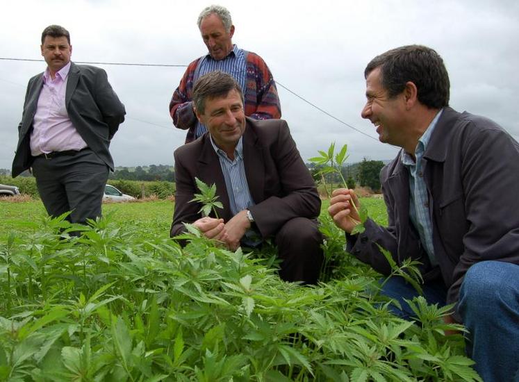 Autour du chanvre, agriculteurs et industriels se réunissent pour le développement économique local.