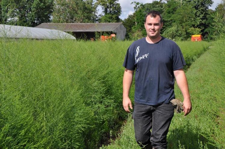 François-Xavier Hupin a 26 ans et s’est installé en 2011. Le jeune homme propose des asperges vertes à sa clientèle urbaine.