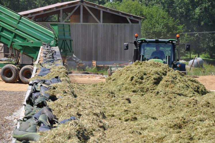 Dans cette exploitation, le mur mesure 2,5 m de haut. Les 39 blocs ont été posés en une journée. Ils se manipulent aisément avec un télescopique. “C’est mieux que les plaques, car les blocs se chevauchent.&#82