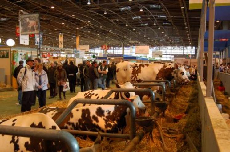 Dans les stands bovins, les éleveurs croisent les doigts face au réveil de la FCO au printemps.