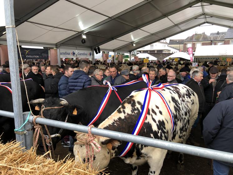 Concours animaux de boucherie