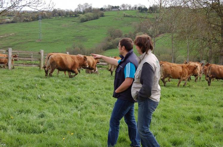 La SCEA Ecurie Pixel compte 35 vaches allaitantes de race Aubrac.Bovins croissance compte deux éleveurs d’Aubrac parmi ses adhérents. Vincent Lecoq s’est formé en Aveyron pour conseiller Stéphanie Raveneau.