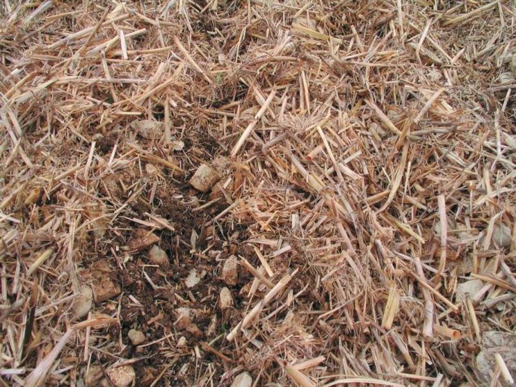 Ligne de semis après passage d’un chasse-paille. Le chasse-paille rotatif offre des conditions optimales de germination de la graine en semis direct.
