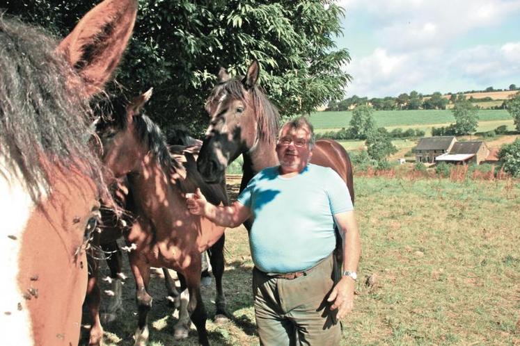 Daniel Morel entouré de ses Cobs normands. Il a 30 chevaux sur la ferme dont huit poulinières. La plus âgée a 25 ans, elle lui a donné 20 poulains.
