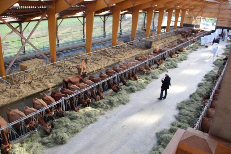 Une stabulation pour 160 laitières en logettes fortement paillées, permettant un compostage de fumier pour la fertilisation des prairies.