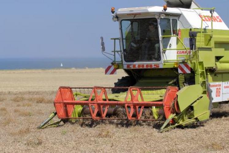 Le pois de printemps offre de très bons potentiels de production en terres profondes ainsi que dans les systèmes irrigués.