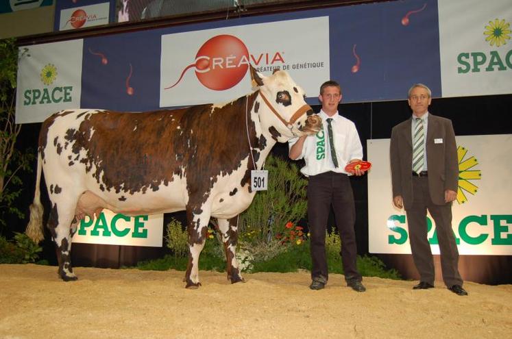 Le seul prix de section pour la Basse-Normandie : « Valisette » (gaec Eudeline-Hutrel, Calvados).