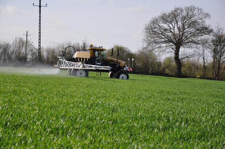 De nombreux produits à base d'isoproturon possède une AMM sur blé et sur orge mais pas sur triticale