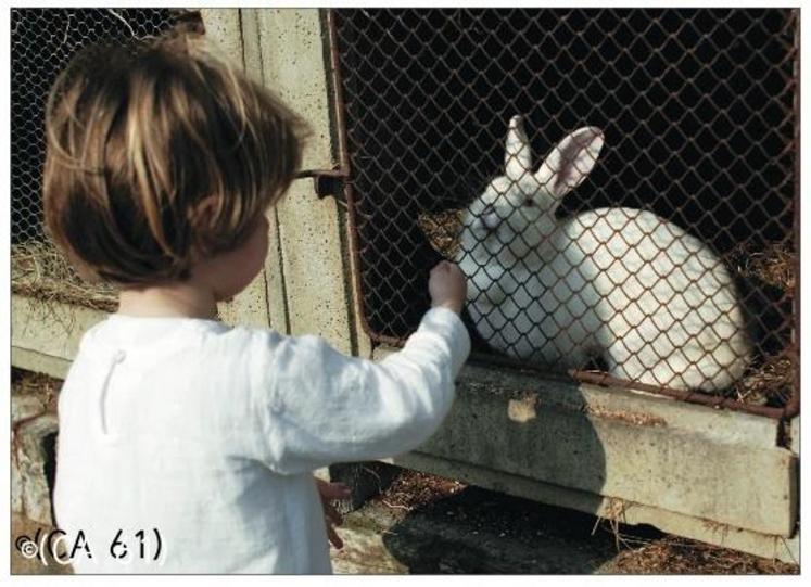 Il s’agit de permettre aux enfants accueillis d’appréhender un autre monde, un autre mode de vie que celui de la ville dont ils sont souvent originaires.