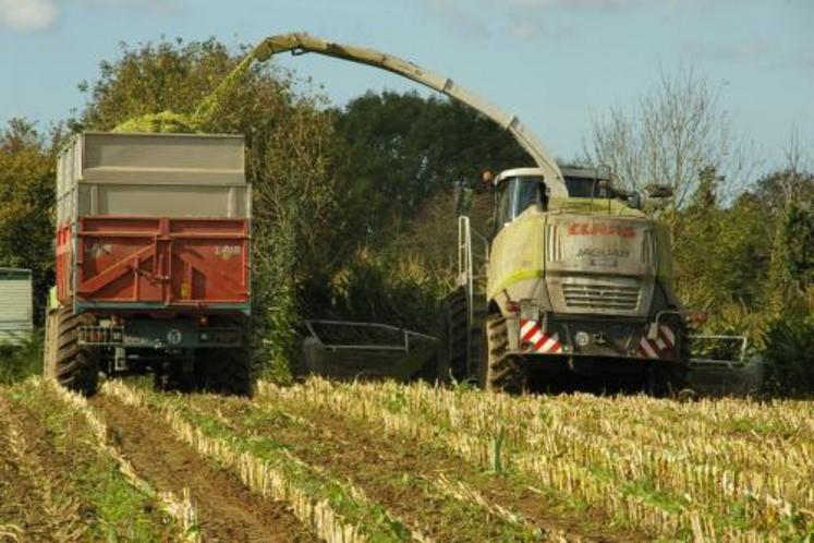 L'azote  La fertilisation des sols